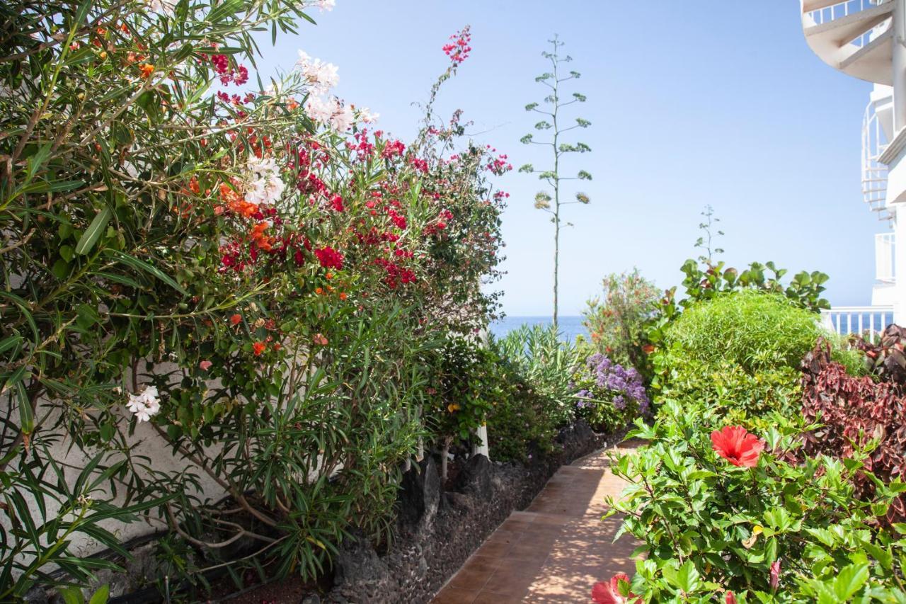 Luxury Princesa Holiday Home Puerto de Santiago  Dış mekan fotoğraf